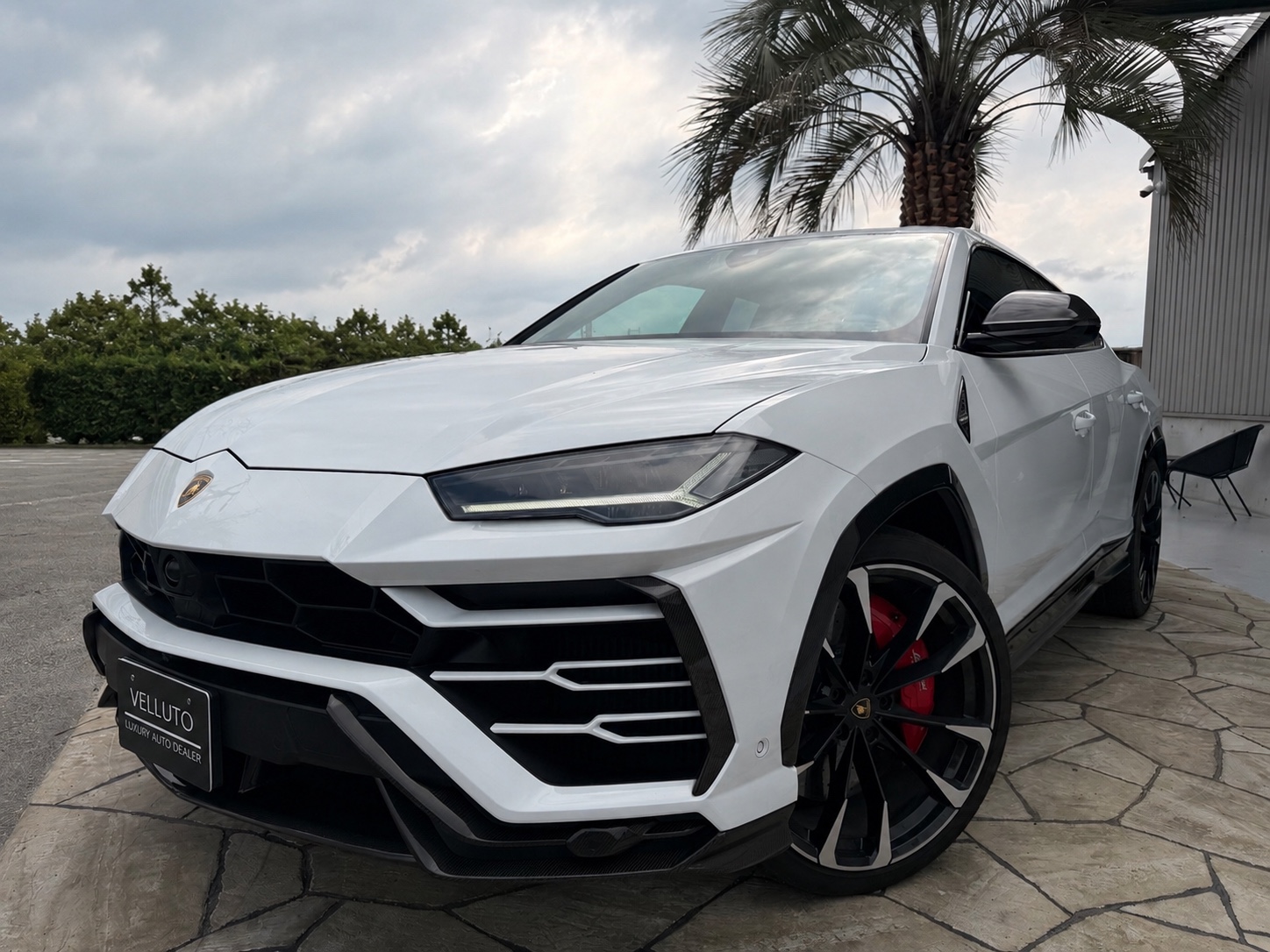 VELLUTOの販売実績：Lamborghini URUS